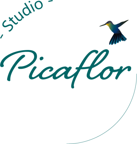 Logo Studio Picaflor PNG transparante achtergrond