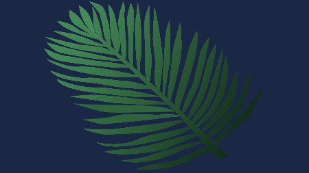 Logo & Huisstijl