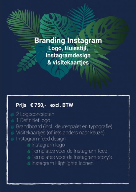 Branding Instagram Studio Picaflor Branding Instagram Studio Picaflor
