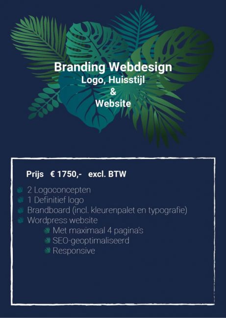 Branding Webdesign Studio Picaflor