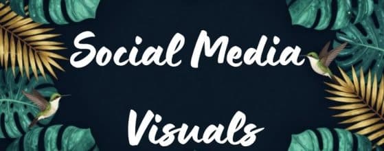 Social media visuals maken Canva