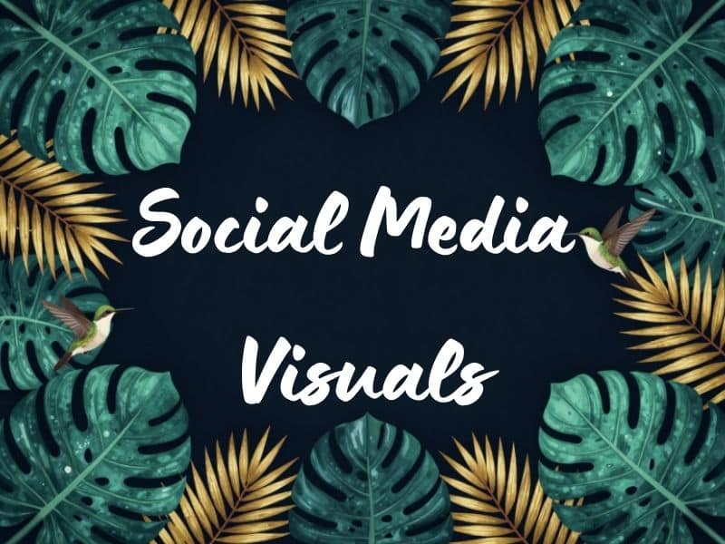 Hoe maak je professionele social media visuals in Canva?