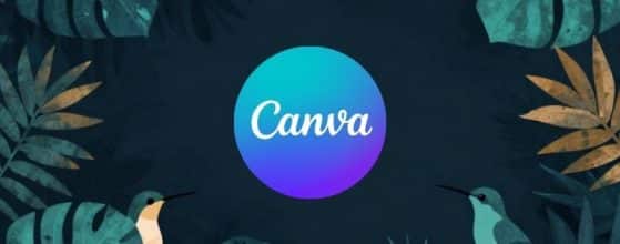 Hoe werkt Canva voor beginners?
