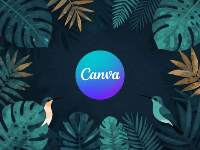 Hoe werkt Canva voor beginners?