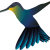 Vogel PNG groot studio Picaflor Vogel PNG groot studio Picaflor