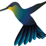 Vogel PNG groot studio Picaflor Vogel PNG groot studio Picaflor