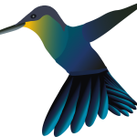 Vogel-PNG-groot-studio-Picaflor.png Vogel-PNG-groot-studio-Picaflor.png